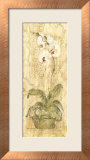 Esprit Phalaenopsis Panel Posters par Cheri Blum
