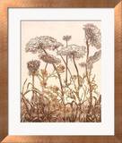Field of Lace II Prints by B. Dauman