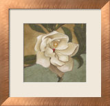 Spring Magnolia II Posters by Cooper 