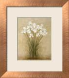 Debra Lake - Floral Sprays Obrazy Debra Lake - Floral Sprays Obrazy