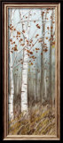 White Birches II Láminas por Roxi Gray