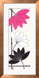 Fuchsia Lotus Blooms Kunstdrucke von Alan Buckle