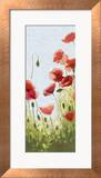 Mountain Poppies II Láminas por Shirley Novak