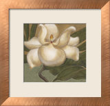 Spring Magnolia I Print by Cooper 