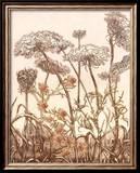 Field of Lace II Print by B. Dauman
