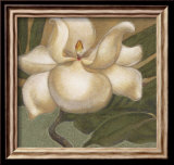 Magnolia en flor I Láminas por Cooper Magnolia en flor I Láminas por Cooper