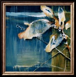 Life from the Sea I Láminas por Terri Burris