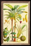 Plants Used As Food Prints by William Rhind