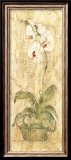 Esprit Phalaenopsis Panel Pósters por Cheri Blum Esprit Phalaenopsis Panel Pósters por Cheri Blum