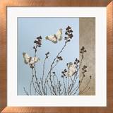 Papillons Posters par Caroline Gold