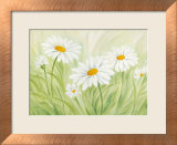 Fun Daisies Posters av Susanne Bach