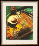 Spices Print by Bruno Morandi