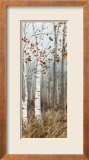 White Birches II Láminas por Roxi Gray