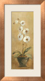 Orchids in Bronze Bowl I Posters par Silvia Vassileva