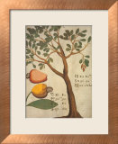 Cashew Tree Póster por Michael Boym Cashew Tree Póster por Michael Boym