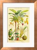 Plants Used As Food Art by William Rhind