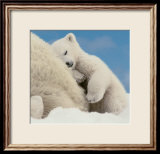 Sweet Dreams Kunst av Wayne Bilenduke