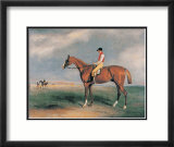 Velocipede Prints by John E. Ferneley