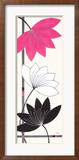 Fuchsia Lotus Blooms Kunstdrucke von Alan Buckle