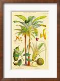 Plants Used As Food Art by William Rhind