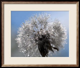 Crystal Clear Bouquet Art par Mikio Watanabe