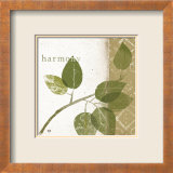 Natures Inspiration I Prints