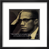Malcom X: By Any Means Necessary Posters