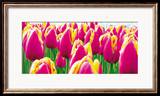 Tulipani Poster di Jan Lens