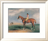 Velocipede Prints by John E. Ferneley