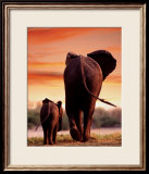 Elephant Cow with Calf Prints by Tim Davis