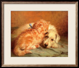 Chaton et chiot Affiches par J Marshall