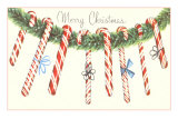 Merry Christmas, Candy Canes Posters