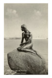 Little Mermaid, Copenhagen, Denmark Print