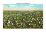 Potato Field, Maine Lámina giclée
