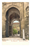Pardon Gate, Cordoba Mosque, Spain Prints
