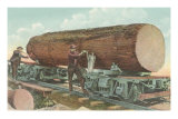 Lumberjacks with Log on Flatbed Posters