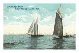 Sailboats, Chebeague Island, Maine Photo
