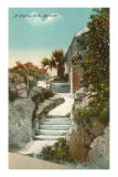 Chemin pittoresque, Bermudes Posters