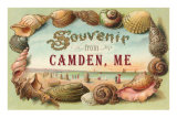 Souvenir from Camden, Maine Prints