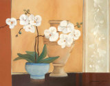 Weibe Orchideen II Posters by Juliane Jahn