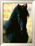 Ukjent Innrammet Giclee-trykk av Mark Barrett