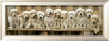 Puppy Squeeze Poster af Keith Kimberlin