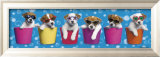 Shady Pups Prints by Keith Kimberlin