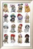Keith Kimberlin - Puppies in Hats Plakát Keith Kimberlin - Puppies in Hats Plakát