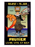 Falize - Prunier Digitálně vytištěná reprodukce