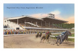 Hagerstown Race Track, Hagerstown, Maryland Posters Hagerstown Race Track, Hagerstown, Maryland Posters