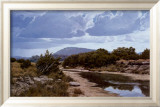 Seco Creek Affiches par Glowka Greg