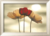 Icelandic Poppies Poster by Yoshizo Kawasaki