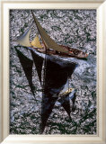 Cambria, Cowes Arte por Gilles Martin-Raget Cambria, Cowes Arte por Gilles Martin-Raget