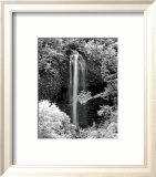 Nature's Jewel I Kunstdrucke von Mike Jones